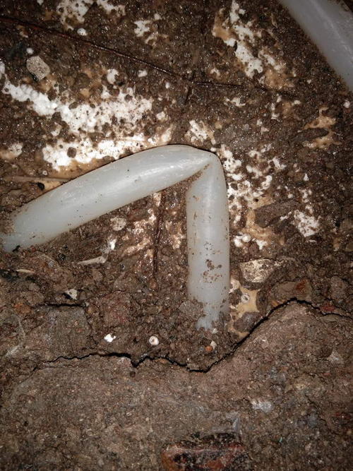 贡山堵点精准查找